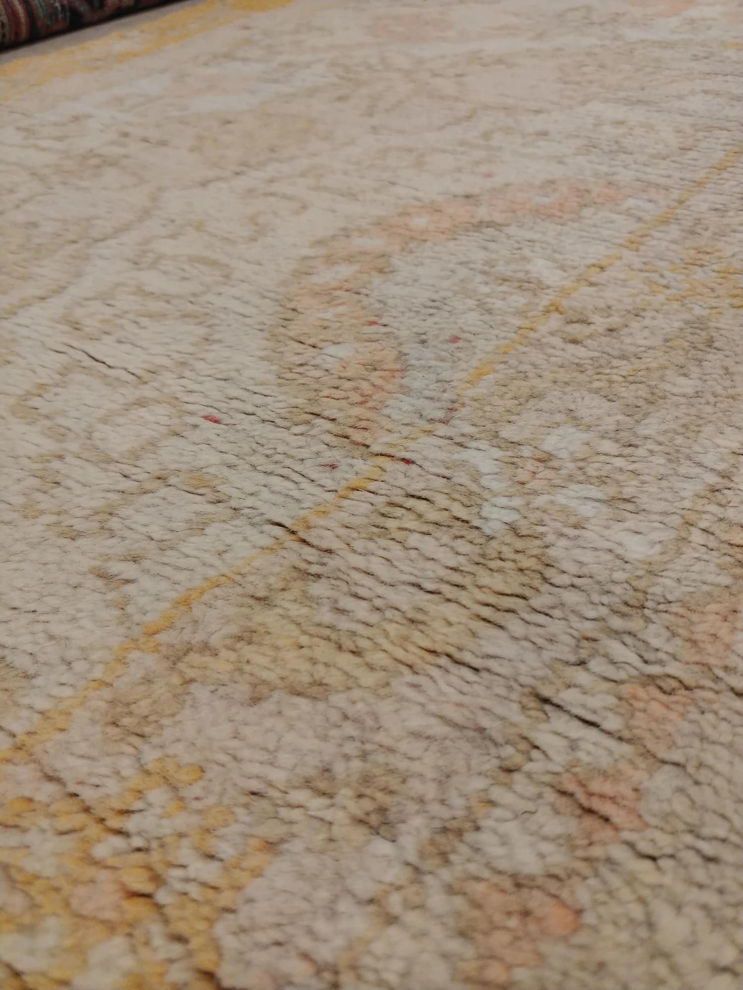Oushak Carpet in Ivory and Saffron, actual catalog view 8