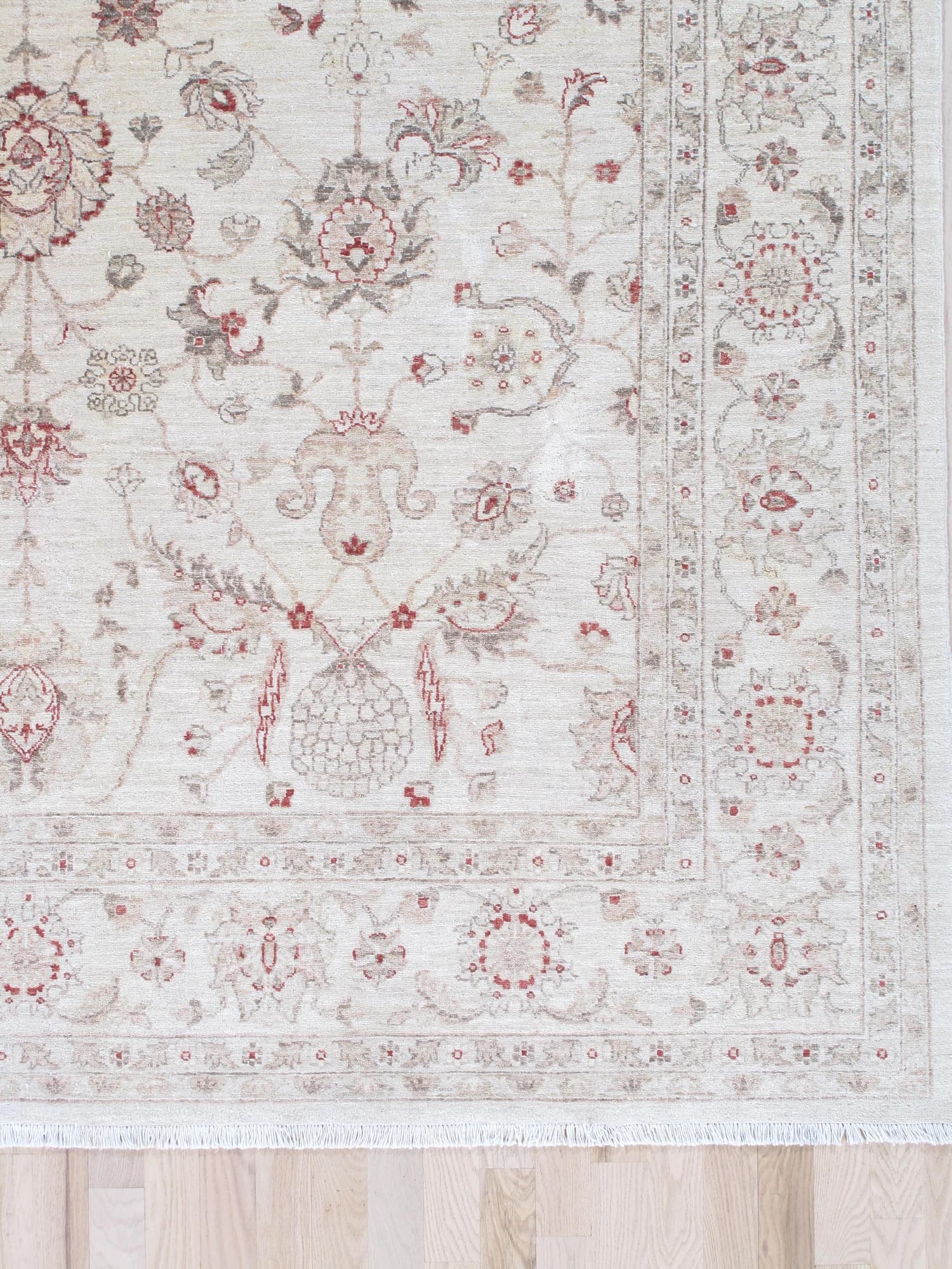 Peshawar Carpet in Ivory and Coral, actual catalog view 4